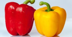 Nært bilde av rød paprika til venstre og gul paprika til høyre. Nøytral bakgrunn.