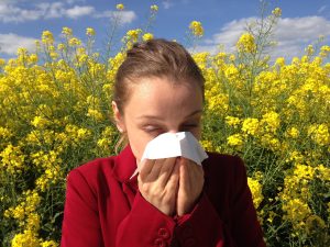 allergi